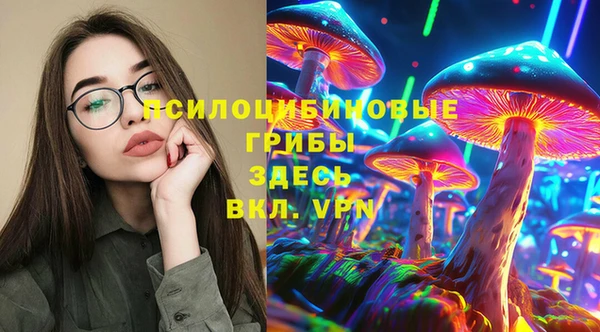 тгк Костерёво