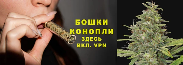 тгк Костерёво