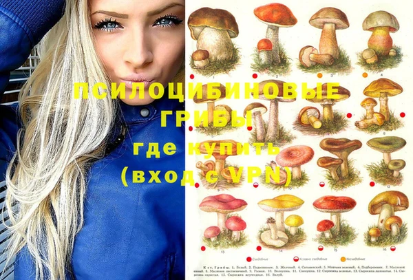 тгк Костерёво
