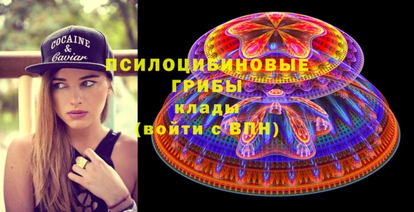 тгк Костерёво