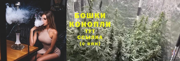 круглые Корсаков
