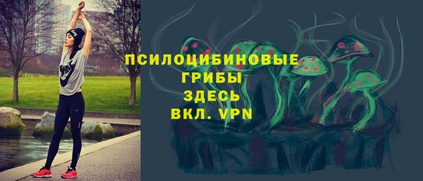 прущая мука Коряжма