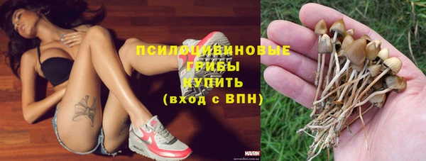 круглые Корсаков